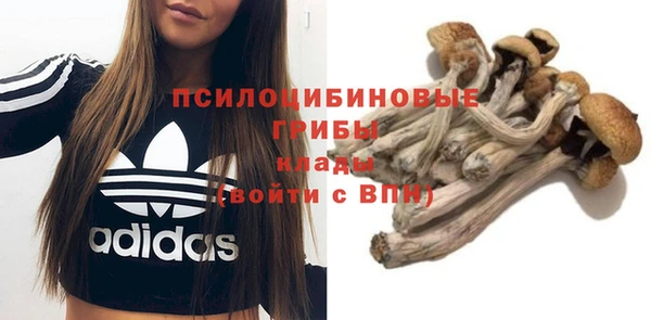 a pvp Бугульма