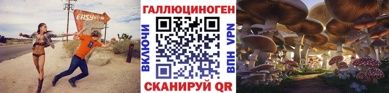 как найти закладки  Гремячинск  гидра   Псилоцибиновые грибы Psilocybe 